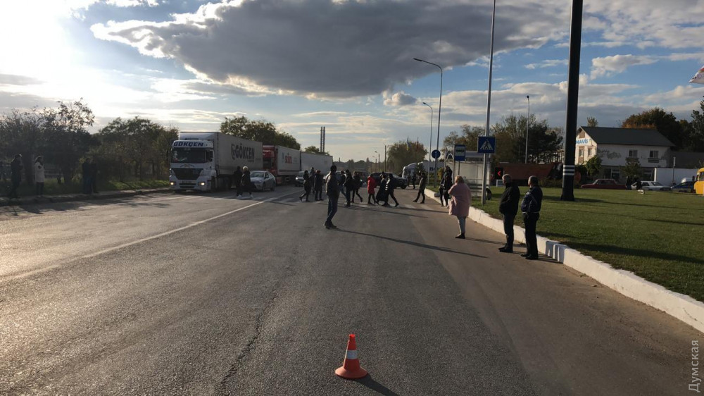 В Одесской области зоозащитники перекрыли дорогу на Черноморск через овец в городском порту, которых не кормят и собираются убить. 