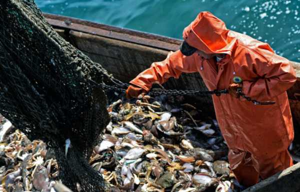 Украинские рыбаки со следующего года не смогут осуществлять деятельность в Азовском море без Протокола украинского-российской комиссии по вопросам рыболовства в отношении распределения квот на вылов рыбы на 2019 год. 