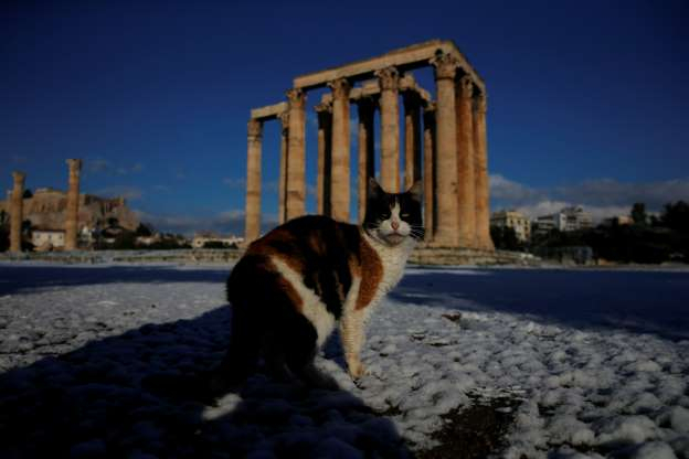 
В столице Греции Афинах выпал редкий снегопад, в связи с непогодой и похолоданием в столичном регионе не работают школы. 