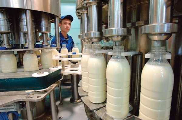 Впервые за последние годы Украина вошла в десятку мировых лидеров по экспорту молочной продукции. 