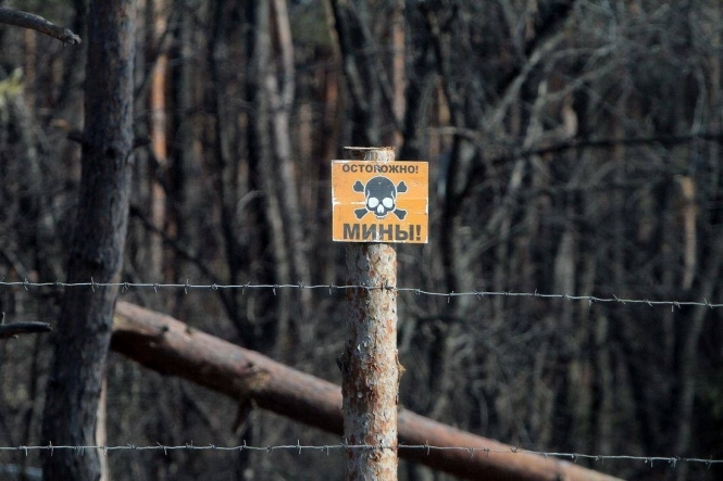 С начала агрессии РФ на Донбассе в результате подрыва на минах и взрывоопасных остатках войны пострадали 833 человека: погибли 269 гражданских лиц, еще 564 получили ранения. 